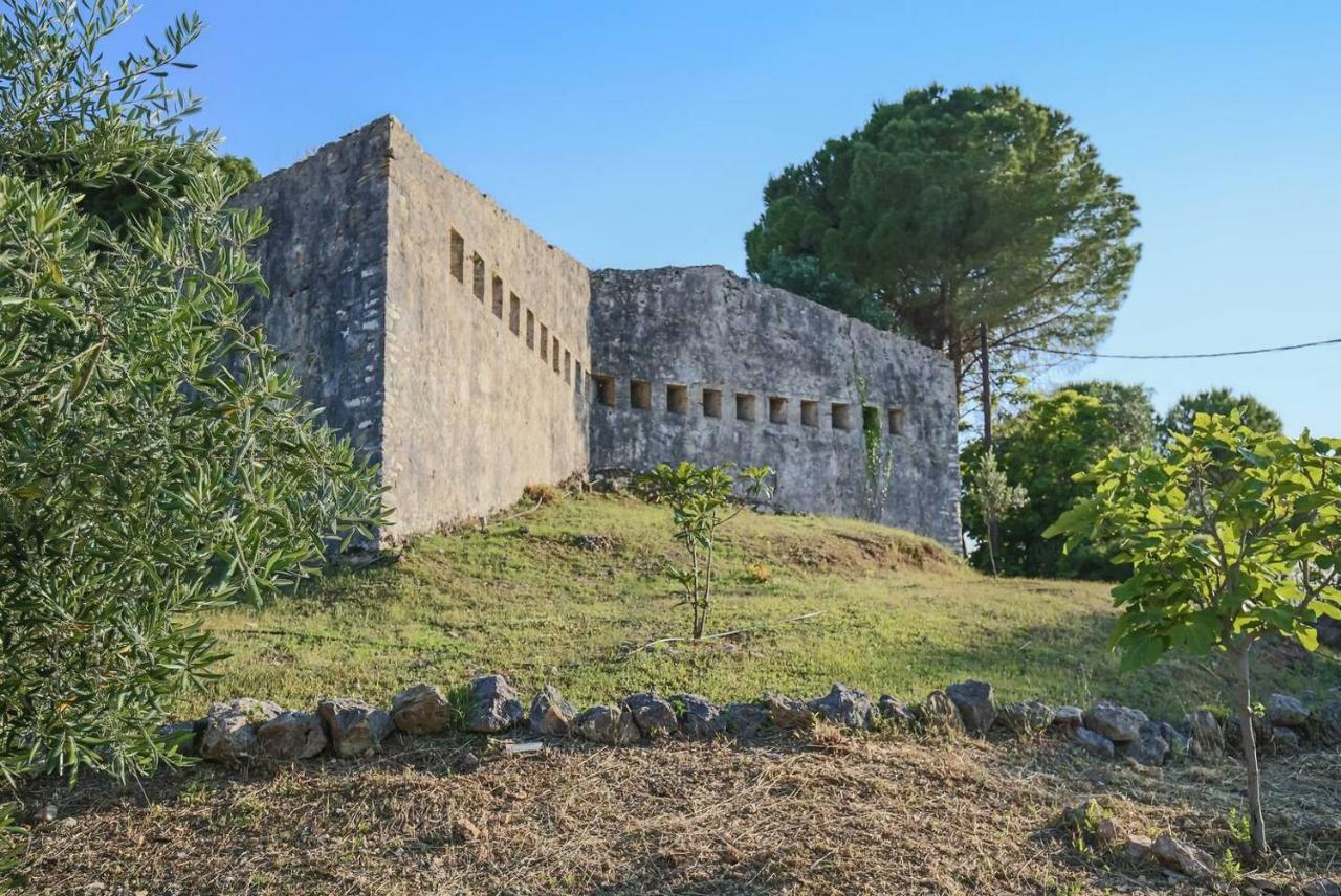 Villa OMNIA - Kommeno bay Dassia  Esterno foto